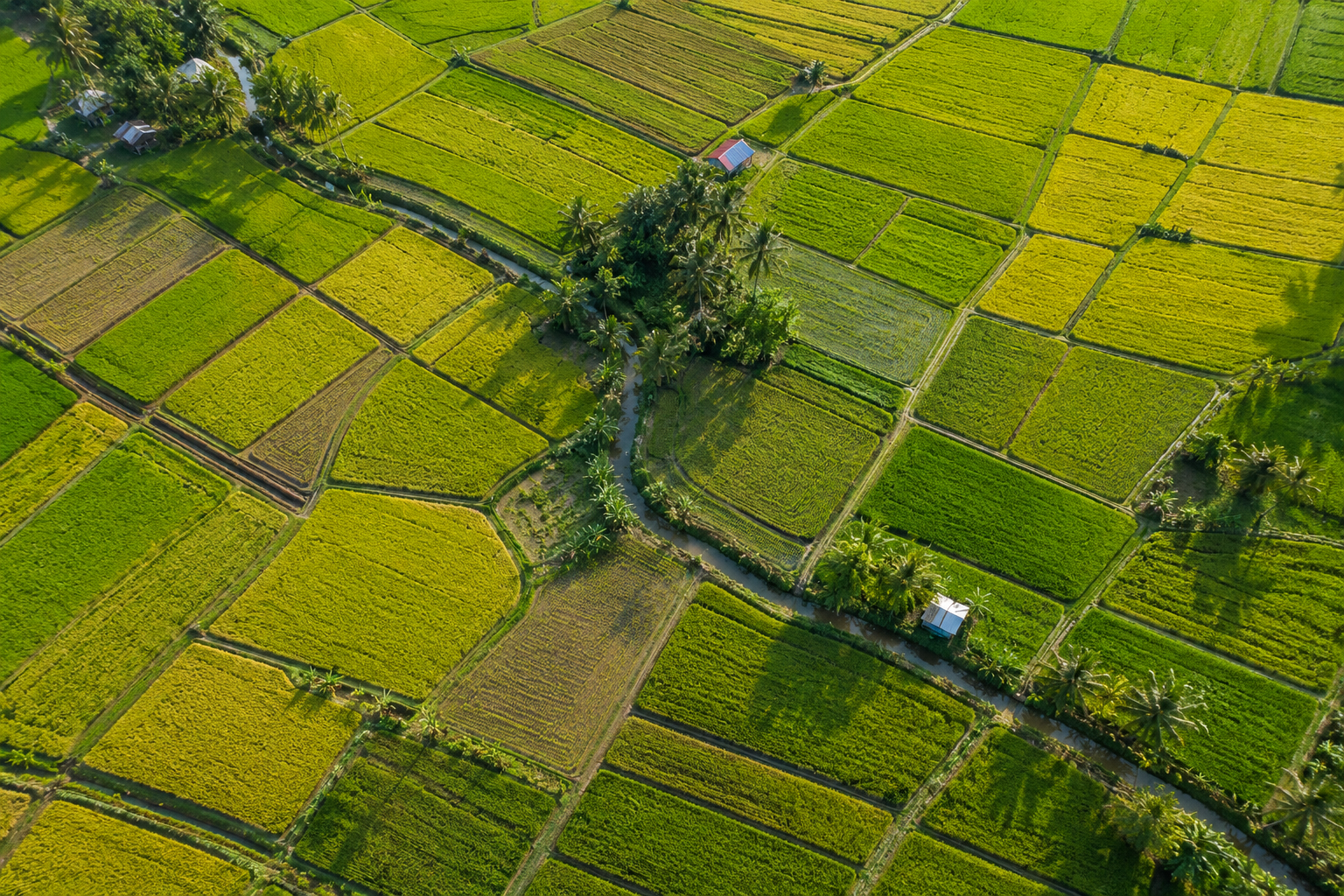 Agriculture landscape