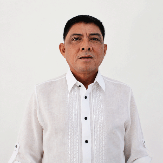Hon. Noel L. Brillantes